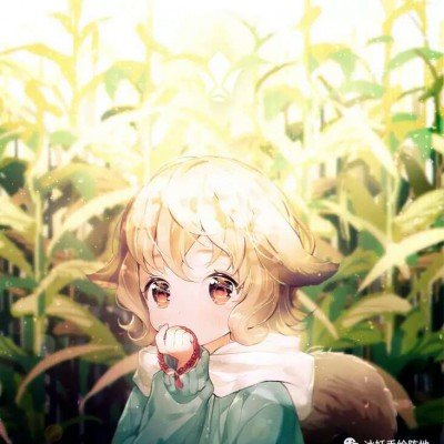 曹骏工作室否认拉踩